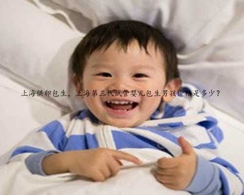 上海供卵包生，上海第三代试管婴儿包生男孩价格是多少？