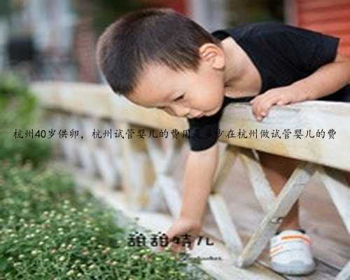 杭州40岁供卵，杭州试管婴儿的费用是多少在杭州做试管婴儿的费