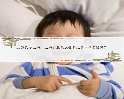 aa69代孕上海，上海第三代试管婴儿费用多少钱呢？