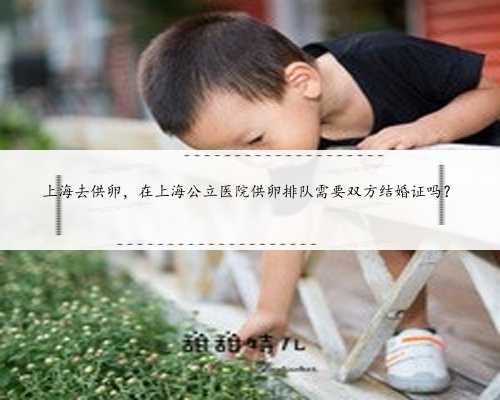上海去供卵，在上海公立医院供卵排队需要双方结婚证吗？