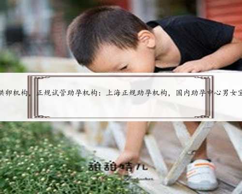 上海供卵机构，正规试管助孕机构：上海正规助孕机构，国内助孕中心男女宝一