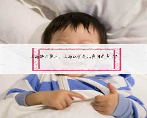 上海供卵费用，上海试管婴儿费用是多少?