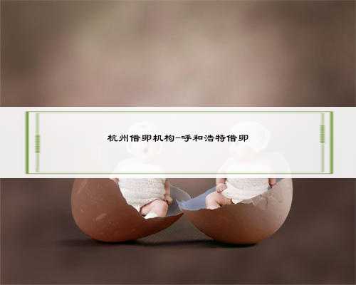 杭州借卵机构-呼和浩特借卵