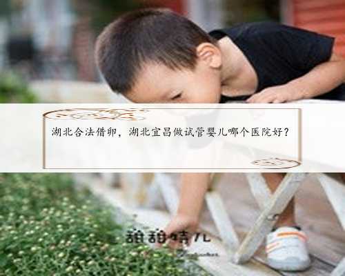 湖北合法借卵，湖北宜昌做试管婴儿哪个医院好？