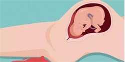 呼和浩特供卵助孕成功率，怀孕中期如何进行保健