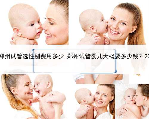 寻找代孕女子，在郑州试管选性别费用多少,郑州试管婴儿大概要多少钱？2022年