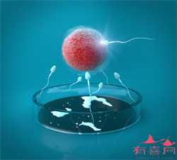 香港供卵助孕网，2022年香港特别行政区供卵试管助孕医院排名，内附试管成功
