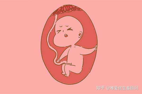 北京有供卵试管网站吗，北京做试管婴儿也能报销了是真的吗？附北京试管政策