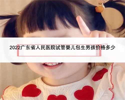 2022广东省人民医院试管婴儿包生男孩价格多少